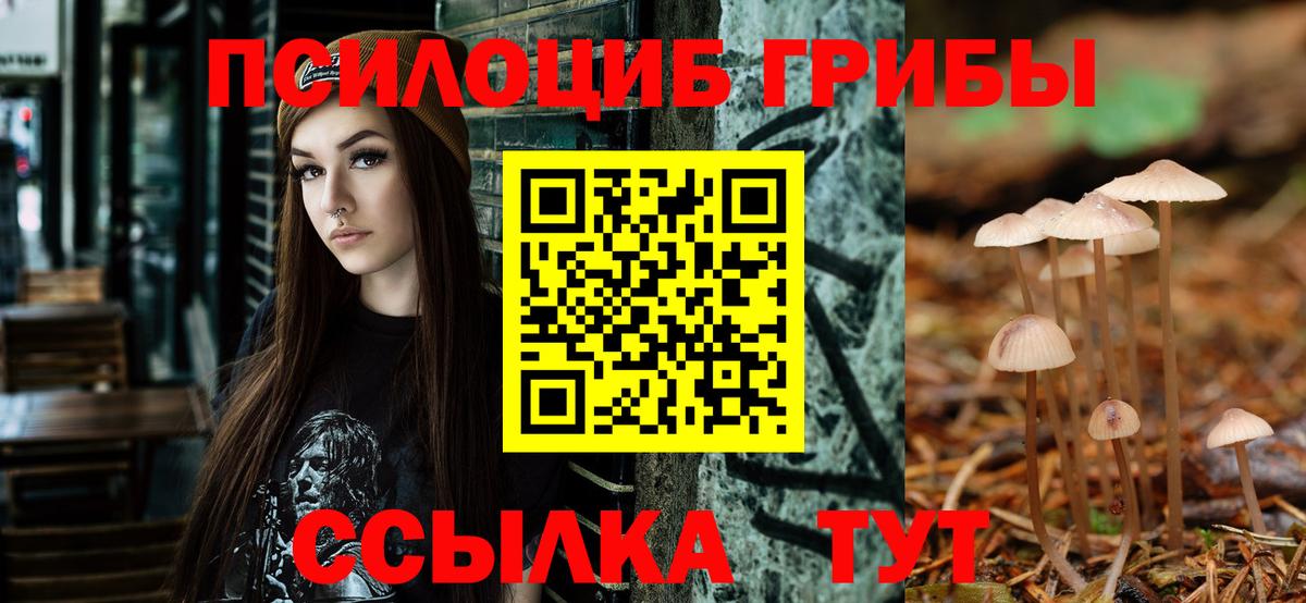 Псилоцибиновые грибы Psilocybine cubensis  Вход с VPN  Сарапул 