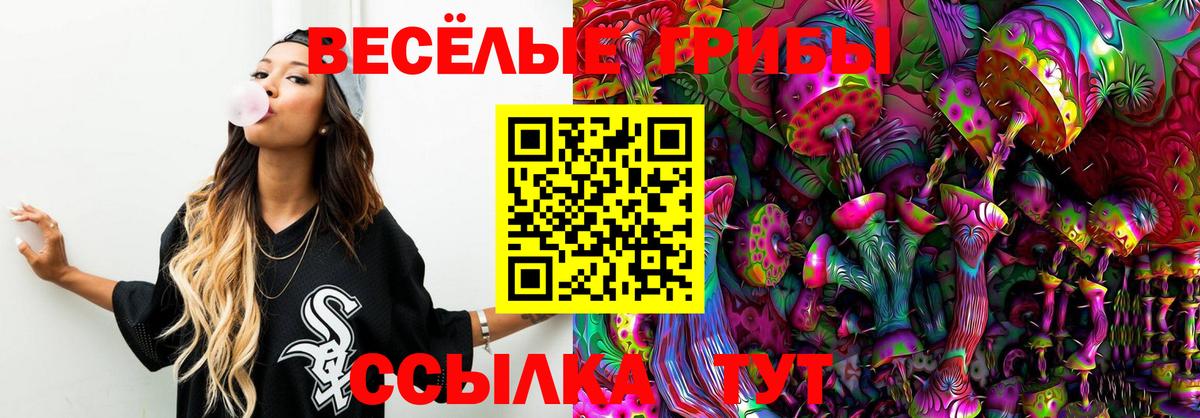 Псилоцибиновые грибы Cubensis Сарапул